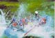 rafting