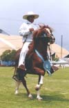 http://www.geocities.com/pasos_san_juan/faraon.jpg (38847 bytes)