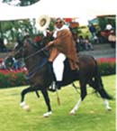 http://www.geocities.com/pasos_san_juan/libert.jpg (35925 bytes)