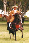 http://www.geocities.com/pasos_san_juan/pupila2.jpg (24653 bytes)