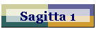 Sagitta 1