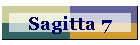 Sagitta 7