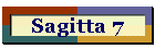 Sagitta 7