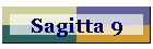 Sagitta 9