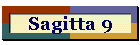 Sagitta 9