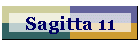 Sagitta 11