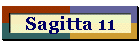 Sagitta 11