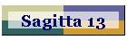 Sagitta 13