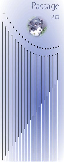 Juluka's 20-String...