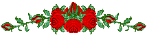 rsebar1.gif
