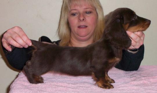 ma femelle � 3 mois
