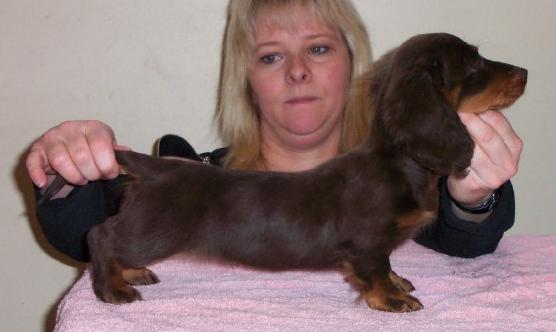 ma femelle � 3 mois
