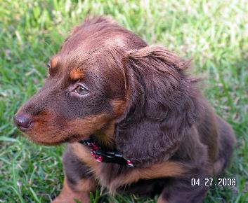 Millie