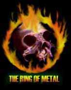 metal.jpg (4647 bytes)