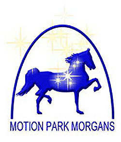 "Beauty Is Where You FInd It"&nbsp;&nbsp;&nbsp;&nbsp; Beauty lives in the Motion Park Morgans