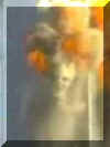 devil.jpg (4868 bytes)