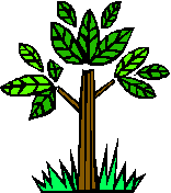 Signs of Life