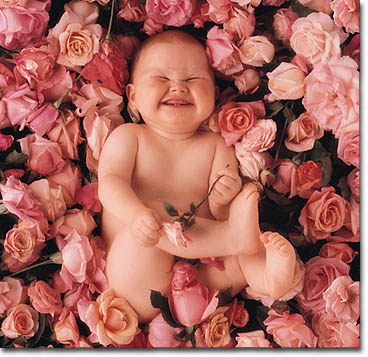 Anne Geddes' Cheesecake