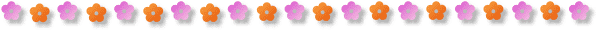 Flower Border