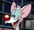 Pictures of Pinky