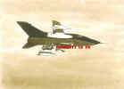 21airftornado2 5x7.jpg (13149 bytes)