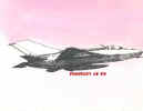 28airfmig21l 8x6.jpg (13396 bytes)