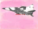 29airfmig25 8x6.jpg (18559 bytes)