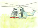 15helipuma_8x6.jpg (18561 bytes)