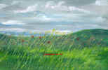 8sceneopengrassland 12x8.jpg (24814 bytes)