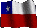 Made in Chile Pu!