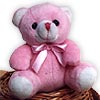 Stuffed Bear 008