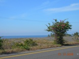 Running slightly higher than the regular road you actually get many views of the Pacific on this stretch of my route. 