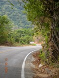 From PV to El Tuito its all uphill. Its the longest most strenuous climb on this trip. After you leave the coast and traffic behind at Boca de Tomatlan the road climbs steeply into lush jungle vegetation and the ride becomes very quiet.