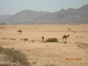This sparsely populated, desolate and unforgiving landscape is awe-inspiring but scary. As I cycle along a sense of helplessness; of not knowing how to survive in this dry, shelterless place overcomes you. 