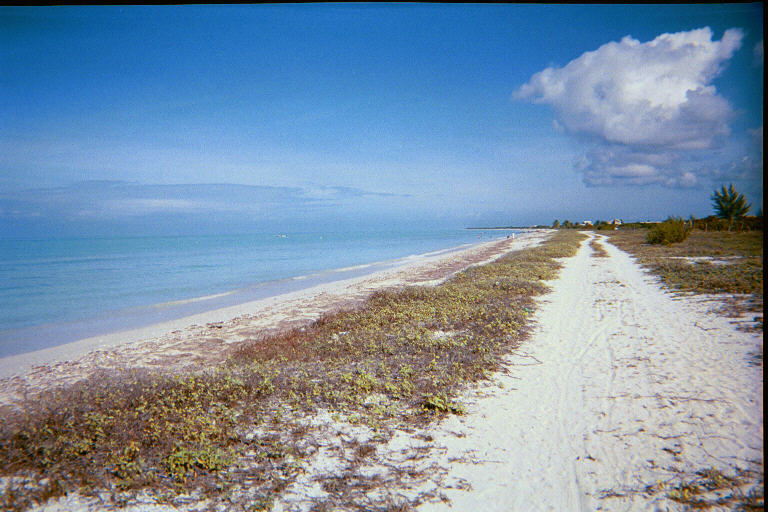 Click on this photo taken in Celestun&nbsp; to go to the Yucatan page.