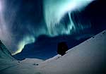 Bifrost, the Northern Lights