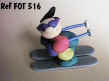 Fot516.jpg (10789 octets)