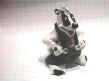 fot042 ratonlaveur.jpg (10361 octets)