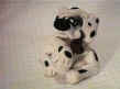 fot104 dalmatienassis.jpg (11011 octets)
