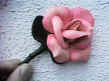 rose rose.jpg (15839 octets)