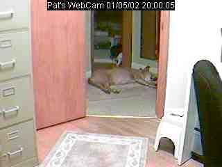 WebCam results