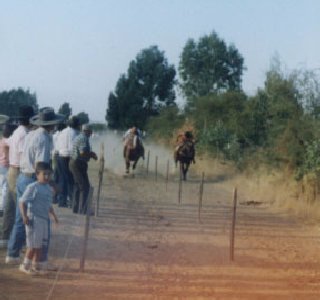 Carreras a la Chilena