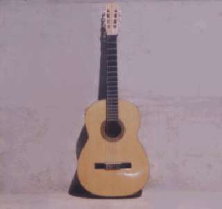La Guitarra