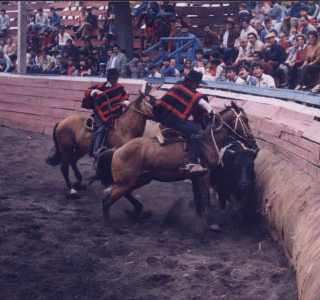 EL Rodeo