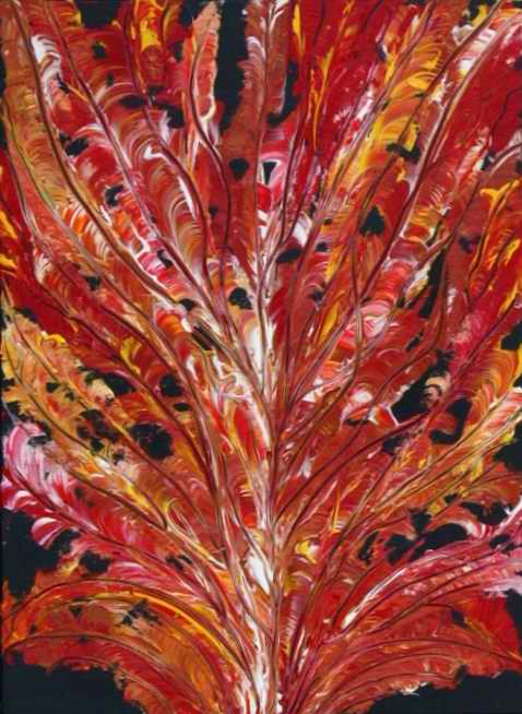 Red Oak
