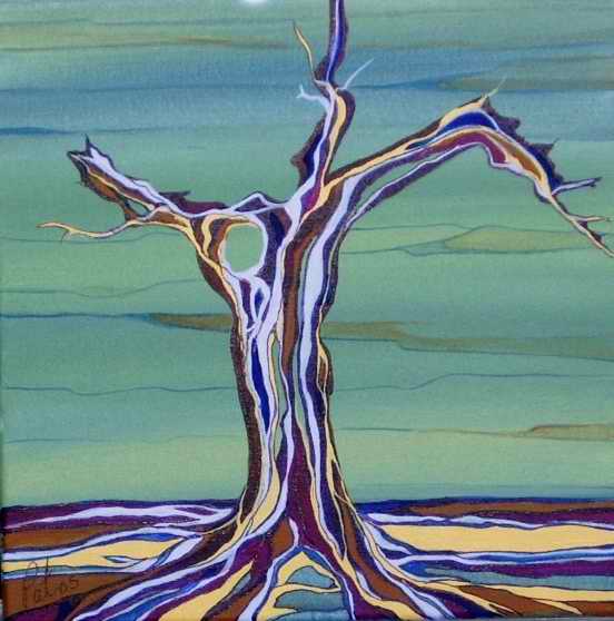 Tuscan Olive Tree