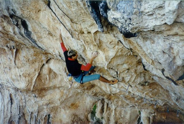 Torelis in Theia Timoria F9* project - Photo by Aris Thanopoulos