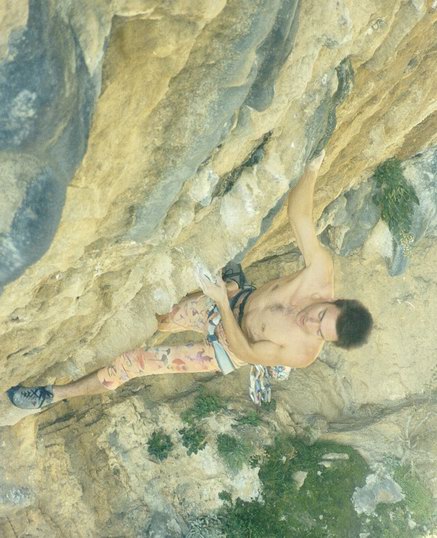 PigMaster 8b+