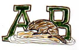Arboria Beavers
