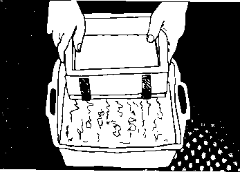 HP2.TIF (11170 bytes)